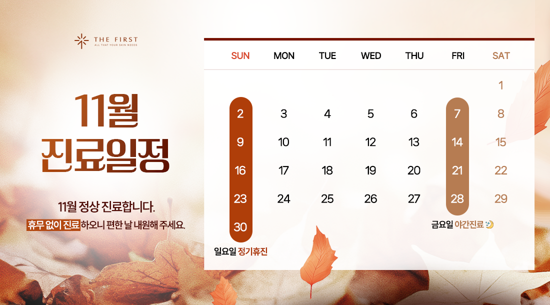 11월 진료일정