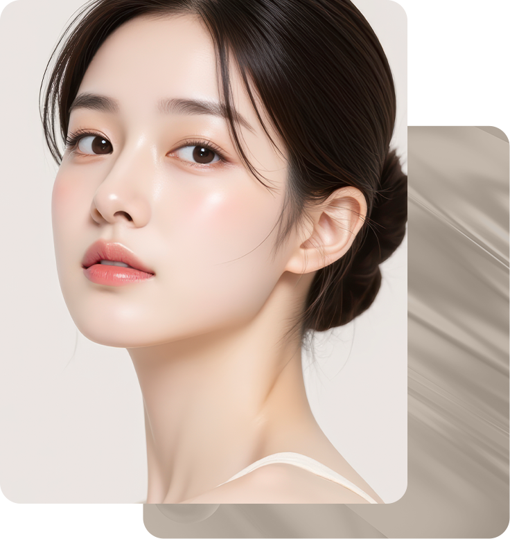브이로 어드밴스